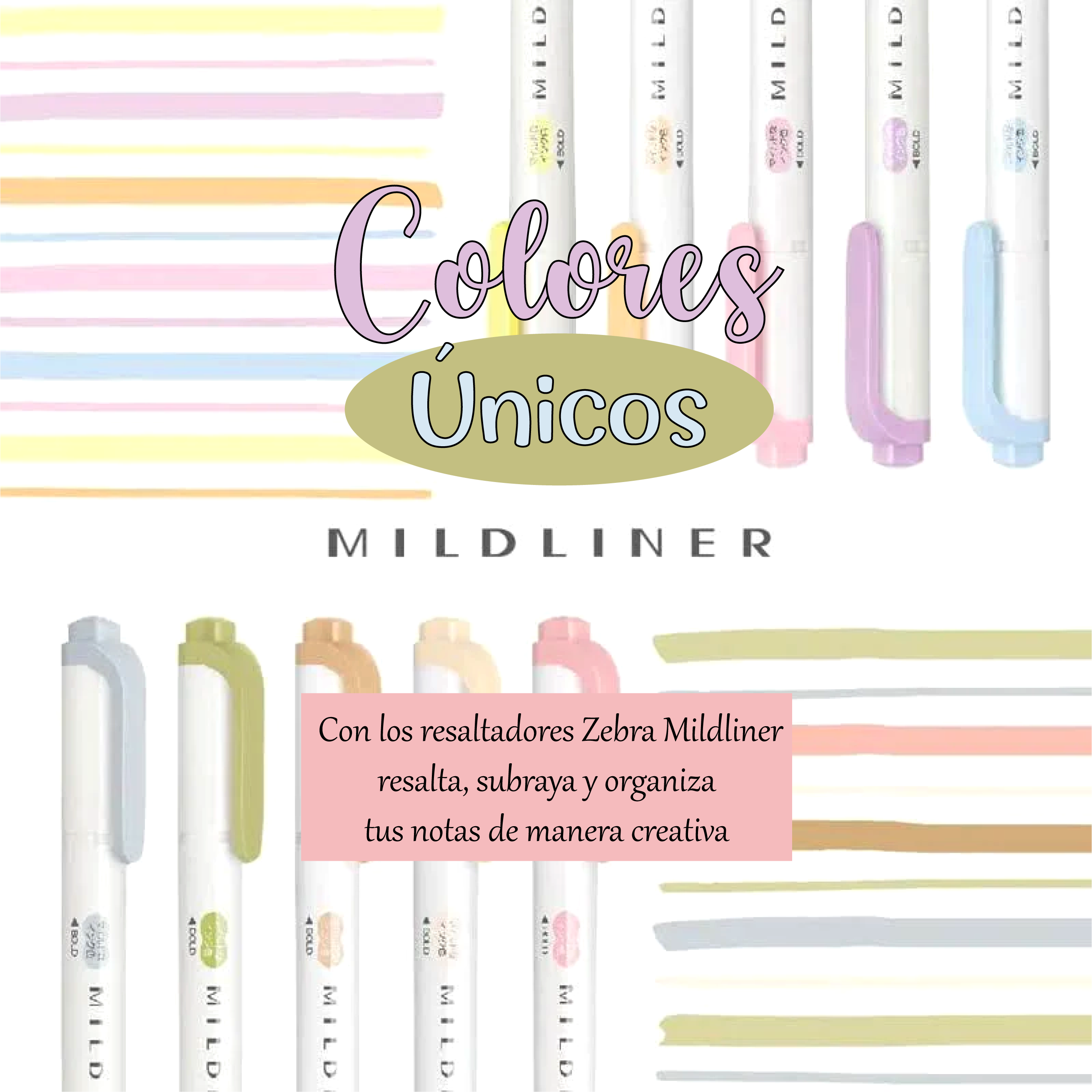 Set 5 Resaltadores Zebra Mildliner